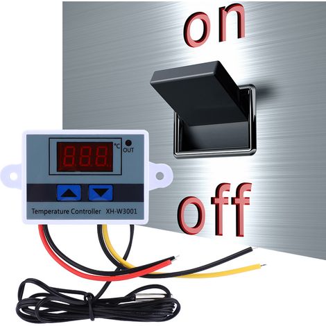 Contrôleur de Température Numérique 12V 120W avec Sonde Étanche (1/5)
