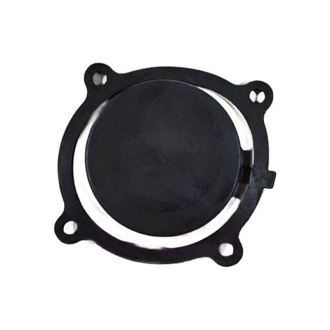 Valvula Toma Entrada compatible con Qgz100  Ref 976822