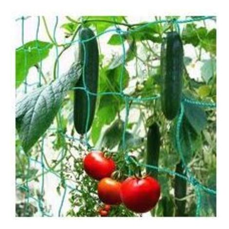 Weitmaschiges Ranknetz für eine gute Ernte von Gurken, Tomaten und anderem Gemüse sowie Kletterpflanzen – Abmessungen: 1,827 m