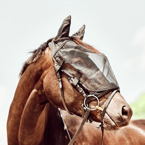 Horse Guard Fliegenmaske für Trensen, schwarz - Vollblut / Cob
