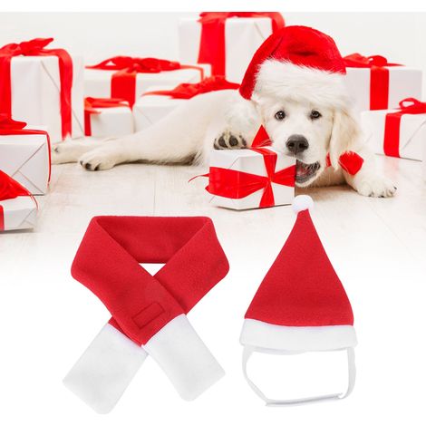 Adorable costume de Père Noël pour chien, chaton ou petit animal de compagnie : bonnet, écharpe et collier. (1/5)