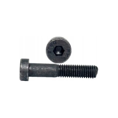 Vis Allen M5x20 classe 8.8 DIN 7984 pièces. 500 pièces. (1/5)