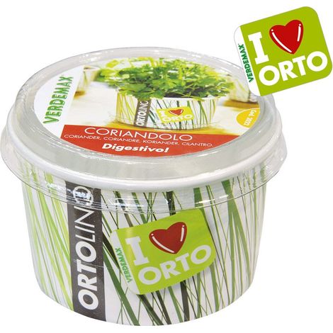 VERDEMAX - ORTOLINO CORIANDOLO (1/2)