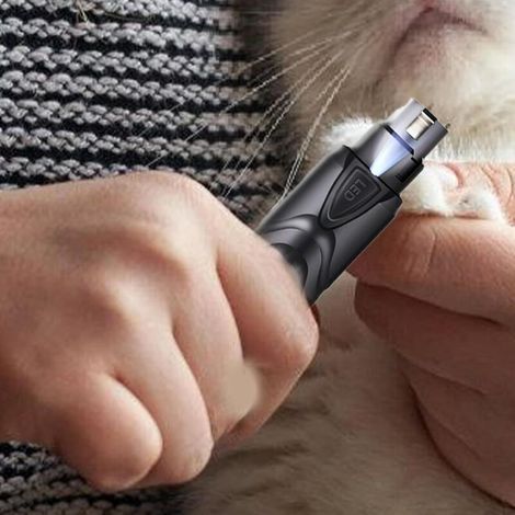 Coupe-ongles lumineux pour chien – Lime à ongles électrique rechargeable et silencieuse à 2 vitesses – Coupe-ongles électrique ultra-silencieux pour petits chiens (1/3)
