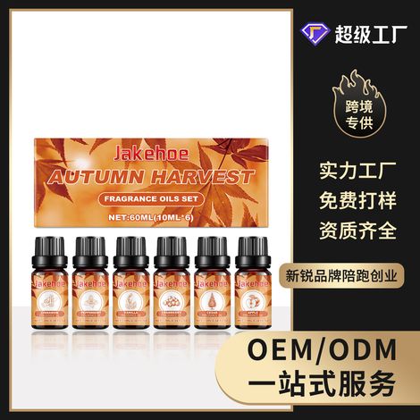 Ätherisches Öl für die Herbst-Aromatherapie – Langanhaltender, warmer und sanfter Duft für eine gemütliche Atmosphäre in Innenräumen – 60 ml (10 ml 6) -- DE (1/5)
