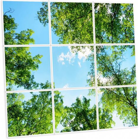 Pack de 9 dalles LED imprimées - Garrigue - 600x600mm - Fabriqué en France (alimentation non fournie)