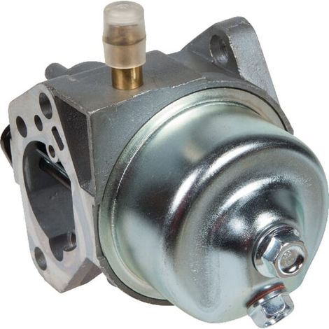Carburateur AL-KO AK455229 (1/3)