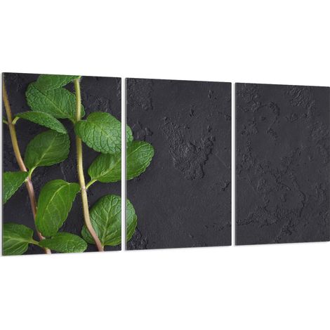 Plaque de protection en verre pour poêle 3x30x52 (1/5)