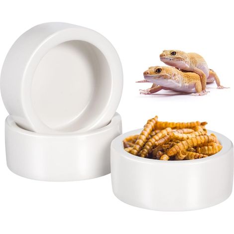 Mangeoire en Céramique Anti-Évasion pour Reptiles et Lézards - Bol d'Alimentation pour Vers de Farine, Petits Animaux et Amphibiens (1/5)