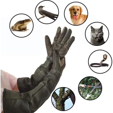 Anti-Morsure/égratignures Jardinage Gants de Protection des Animaux Sauvages, Gants de Manipulation des Animaux Chat Chien (1/4)