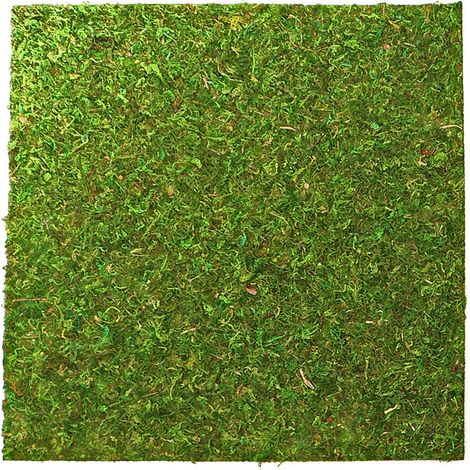 Repti-Zoo Mousse Naturelle Fond et Fond - mousse et substrat 45x45cm (1/5)