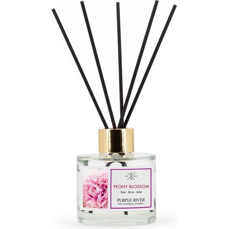 Raumduft-Diffusor 100ml - Langanhaltender Duft