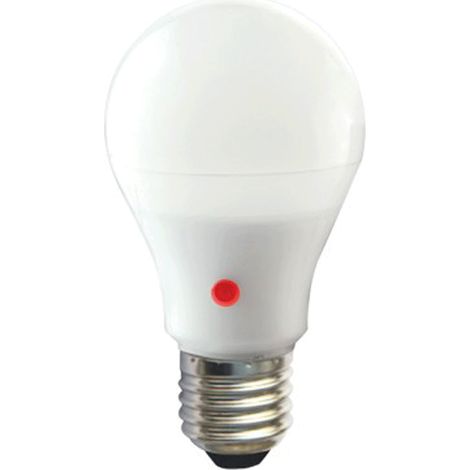 Ampoule LED 10W 230V à culot E27 + détecteur crépusculaire