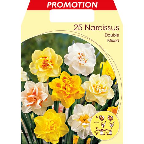 BULBI NARCISO DOUBLE MIX (CONFEZIONE DA 25 BULBI)