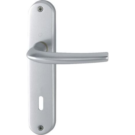 Duschtürgriff