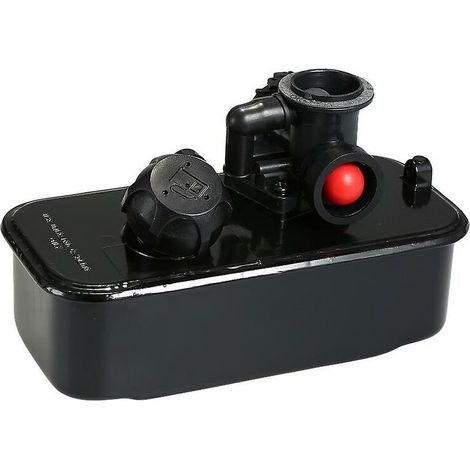 Briggs & Stratton réservoir/carburateur 494406 498809 Carburateur (1/5)