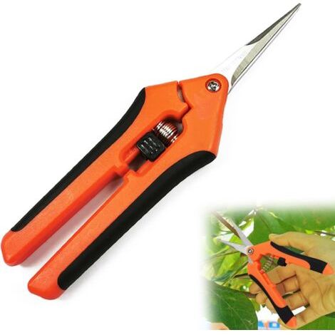 Ciseaux de Jardinage Faits à la Main, Ciseaux de Jardinage en Acier Inoxydable pour les Plantes et les Fleurs,16.5cm(Couleur Orange) (1/5)