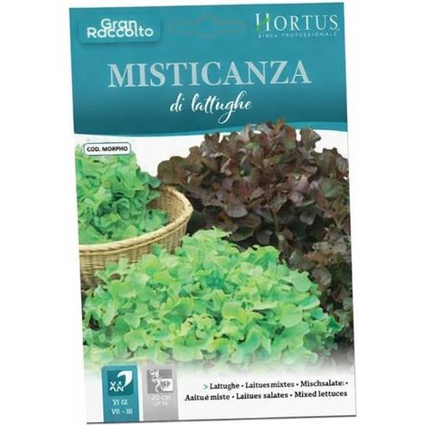 Misticanza 4 Stagioni - frischer Salatmischung für kreative Gerichte