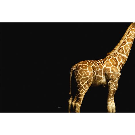 Papier peint panoramique girafe pour salle de bain | Tapisserie panoramique noir et beige moderne | Papier peint panoramique animaux sauvages - 267 x 400 cm (4 pièces) (1/2)