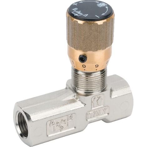 Drosselrückschlagventil 1/4" TOGNELLA FT125150114 (1/2)