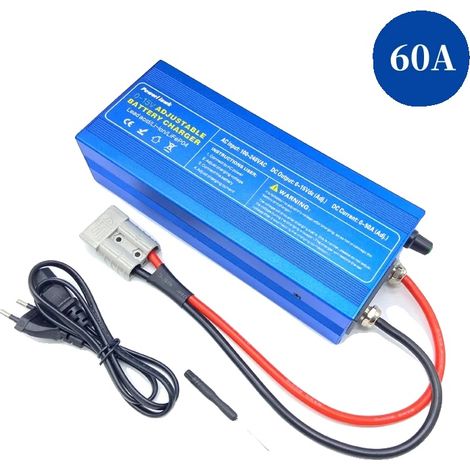 Chargeur de batterie Lifepo4, Charge intelligente, Affichage convivial, LS 60A Anderson, 15V, UE (1/2)