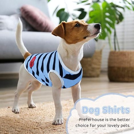 Animal Chien T-Shirt Rayé Chats Gilet de Coton Printemps Été vêtements pour Animaux de Compagnie Tee Shirt Convient aux Petits et m, Taille XS, Bleu, en Textile (1/5)