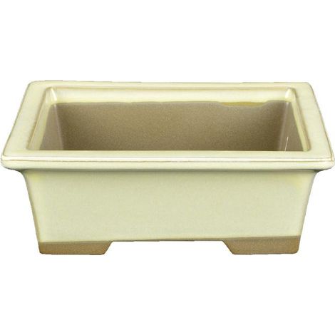 Vaso per bonsai Giapponese Morrisan rettangolare in gres smaltato bianco 11x8,5x4,5 cm - B05-2b (1/4)