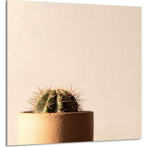 Panneau de verre pour cuisine 60x65 Cactus (1/5)