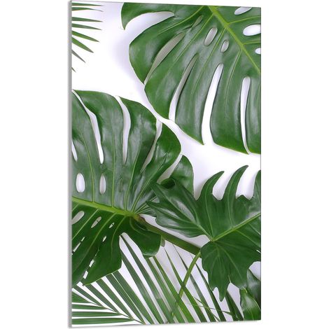 Tabla de cortar de vidrio 30x52 Monstera (1/5)