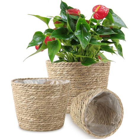 Lot de 3 paniers à plantes en jonc de mer tressés à la main avec doublure en plastique imperméable. Paniers de rangement pour plantes d'intérieur et d'extérieur. (1/5)