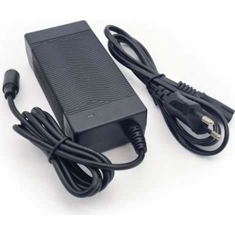 Caricabatterie per monopattino elettrico Patty
