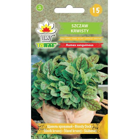 Bloody Sorrel Acetosa semi erbe erbe (1/3)