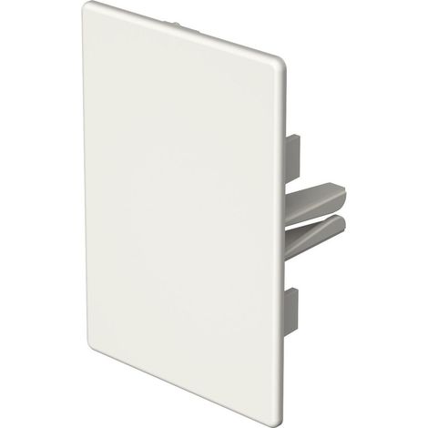 OBO Bettermann Pieza final libre de halógenos 60x90mm policarbonato/acrilonitrilo-butadieno-estireno blanco puro RAL 9010, 6175562