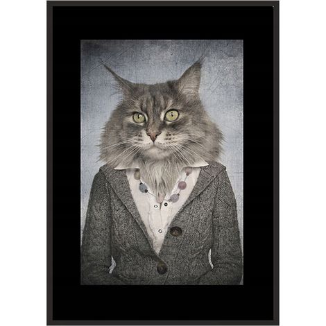 Bild Poster im Rahmen 43x33 cm Katze P771 (1/4)