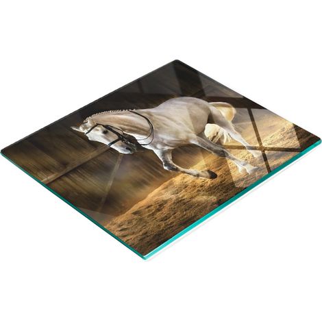 Gehärtete, multifunktionale Dekorglas-Form in einem stabilen 60x52 cm (1/5)