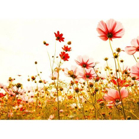 Papier peint panoramique floral original Tapisserie panoramique coquelicot pour chambre Papier peint panoramique nature pour bureau (1/4)