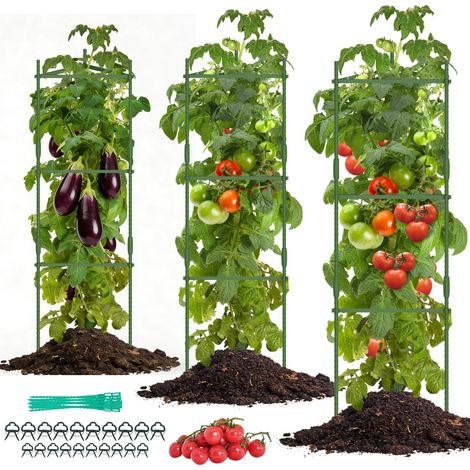 Tuteur Tomate, 3 Tuteurs pour Tomates et Plantes Grimpantes (1/5)