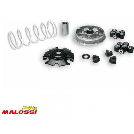 Variateur Malossi pour Scooter Kymco 125 Movie Après 2000 5114404 (1/2)