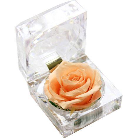 Rosa natural preservada y fragante, regalo romántico (caja transparente)
