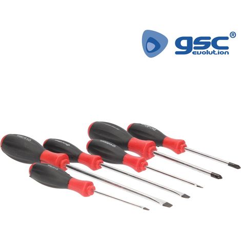 Juego 6 destornilladores cr-van. 2xph+4xpl 502035008 gsc (1/4)
