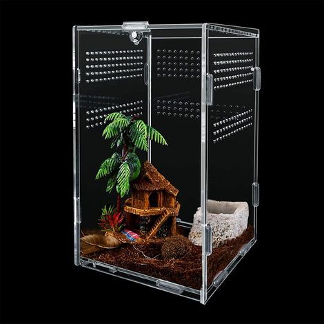 Zuchtbox, transparentes Acrylglas, seitliche Belüftung, Terrarium für Reptilien, Arthropoden, Amphibien (1/5)