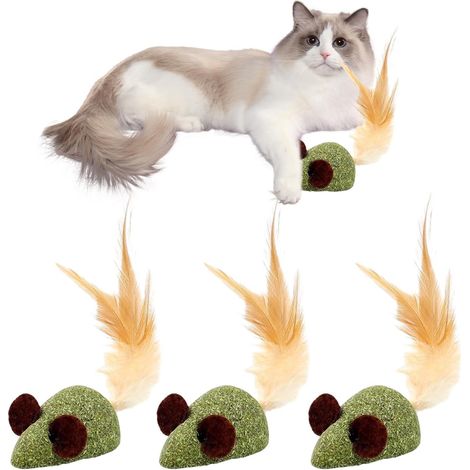 Boules d'herbe à Chat, 3 Pièces Boule Herbe a Chat, Jouet Chat Comestibles pour Chat Nettoie Efficacement Les Dents Augmentent L'AppéTit (1/5)