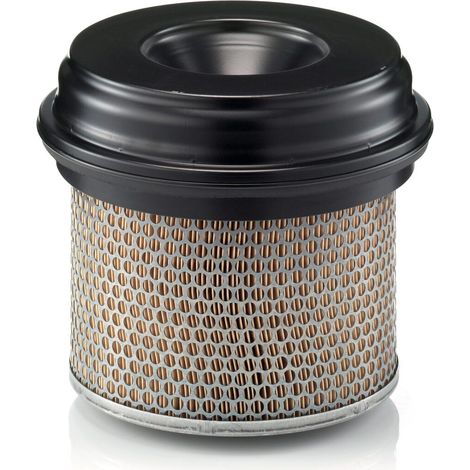 Filtre à air Mann Filter C21338