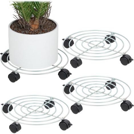 Juego de 4 plantas a elegir