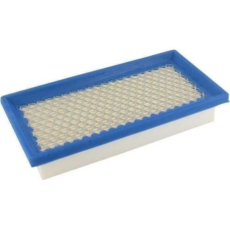 Filtre À Air - Pour Moteur Briggs Stratton Séries 133400 - 5 Ch - Dimensions 178 X 89 X 32 Mm - Référence 5362 - 1 Pièce
