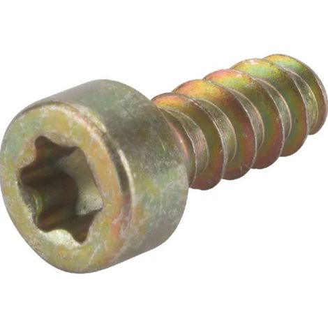 2123100 - Vis pour Tronçonneuse ALPINA