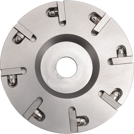 ZASCHMOY Disque de de Sabot en Acier à 8 Dents pour Le Bétail, Les Moutons, Les Bovins et Les Chevaux - Plaque de du Sabot Durable pour Les Soins de Efficaces (1/5)