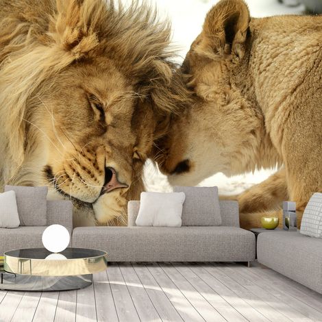 Papier peint Lion Tenderness - 200 x 140 cm (1/4)