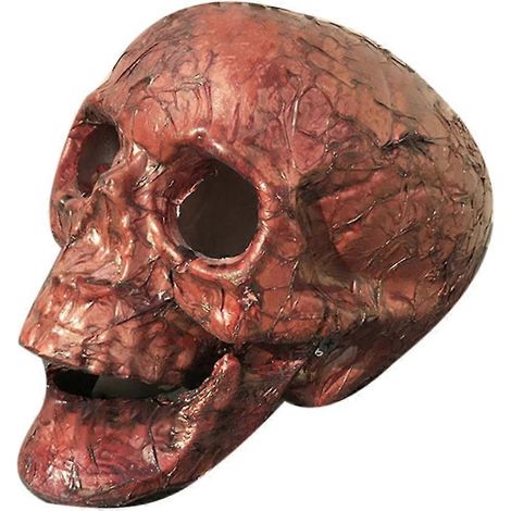 Ornement accessoires décoration maison hantée Halloween tête de crâne artificielle horreur (1/5)