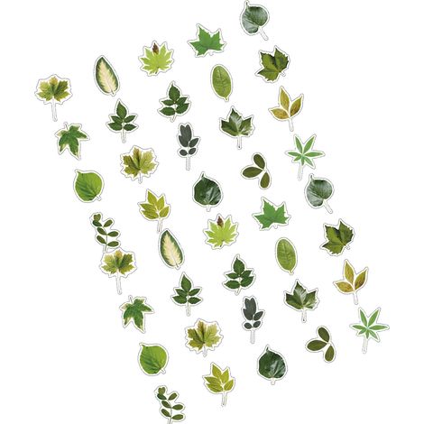 40 autocollants PET sur le thème des feuilles, autocollants végétaux, guide de bricolage, autocollants sur le thème des plantes, branche verte (1/5)